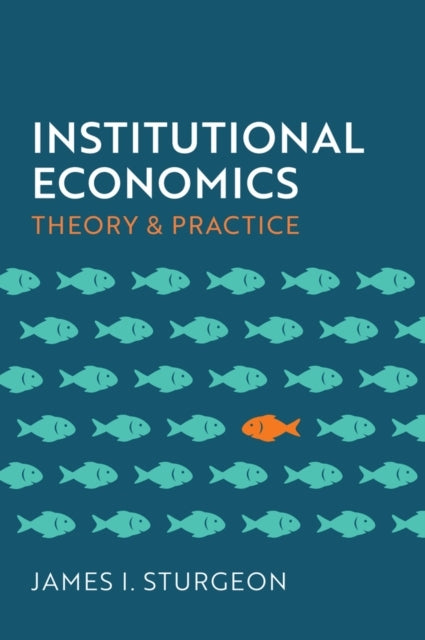 Institutional Economics Theory And Practice