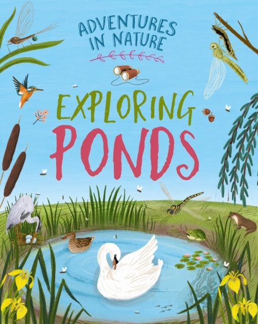 Adventures In Nature: Exploring Ponds