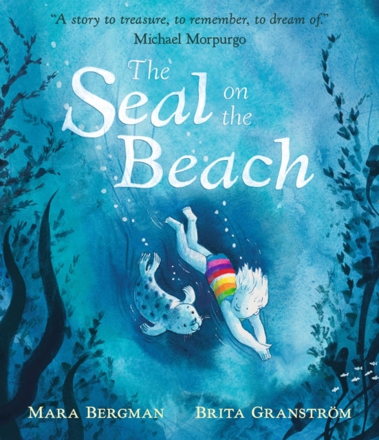 The Seal On The Beach