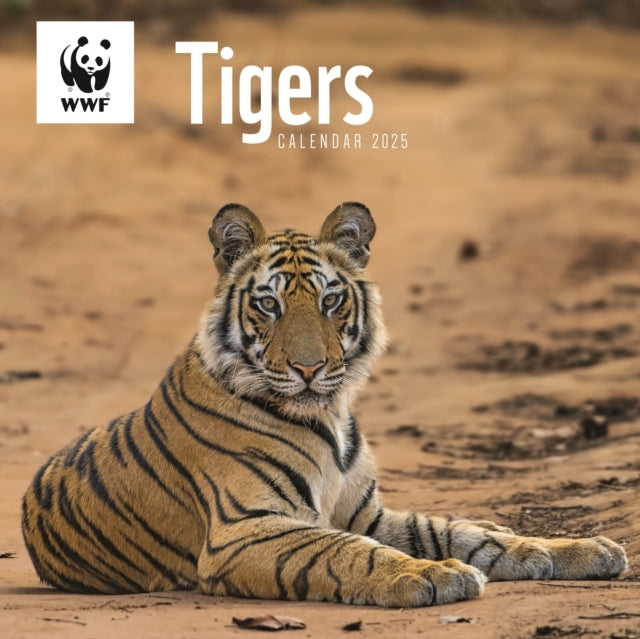 Wwf Tigers Square Wall Calendar 2025