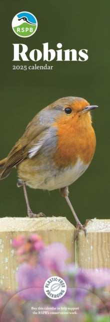 Rspb Robins Slim Calendar 2025
