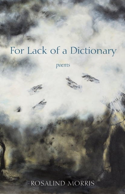 For Lack Of A Dictionary
