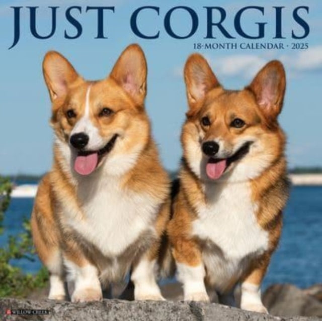 JUST CORGIS 2025 12 X 12 WALL CALENDAR