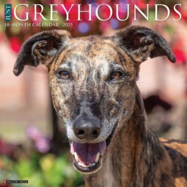 JUST GREYHOUNDS 2025 12 X 12 WALL CALENDAR