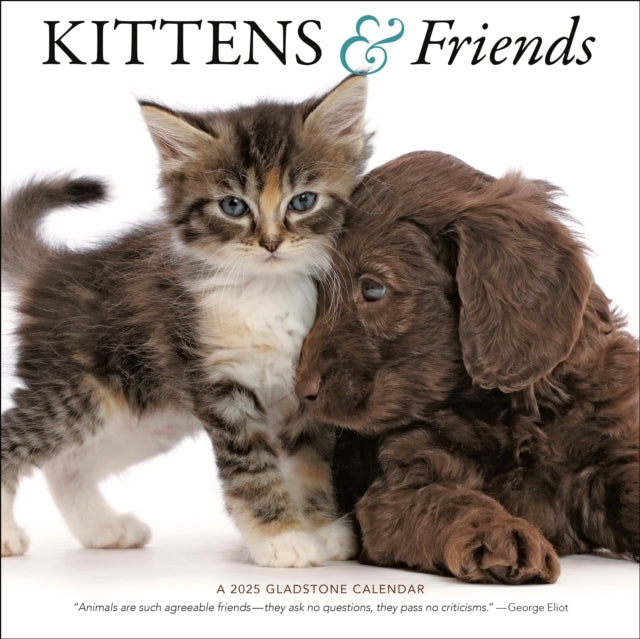 Kittens & Friends Square Wall Calendar 2025