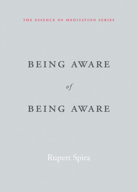 Being Aware of Being Aware