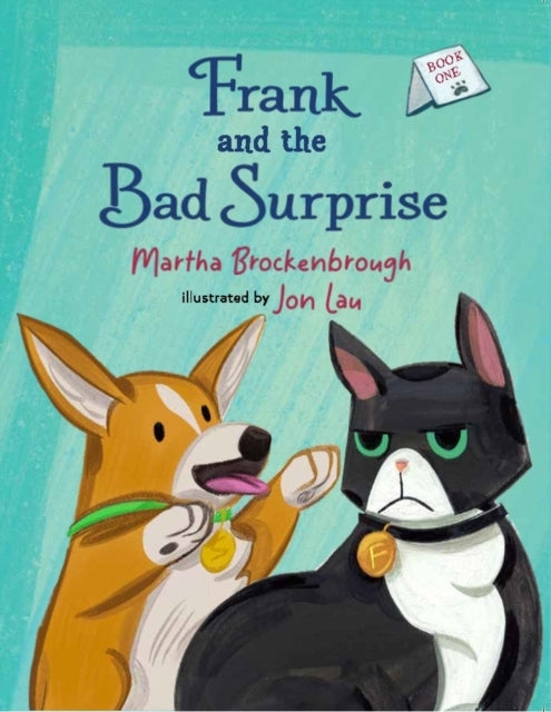 FRANK AND THE BAD SURPRISE