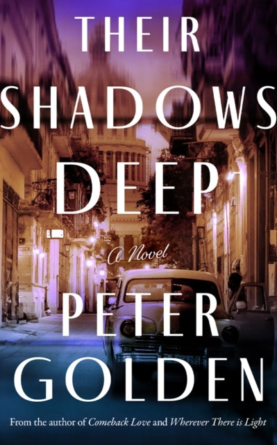 Their Shadows Deepa Novel