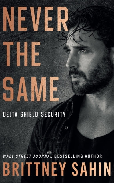 Delta Shield Security