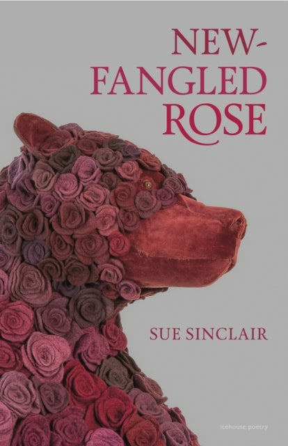 New-Fangled Rose