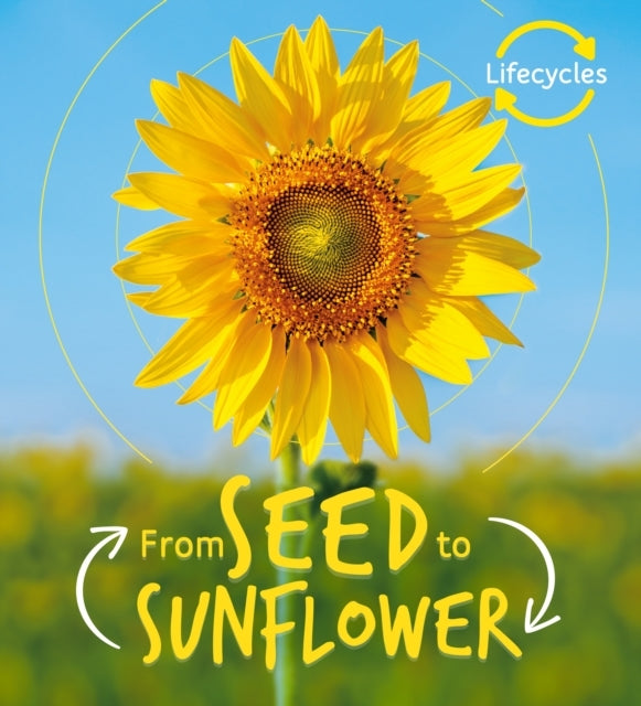 LIFECYCLES SEED TO SUNFLOWER