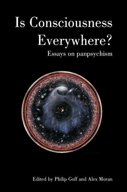 Is Consciousness Everywhere?Essays On Panpsychism