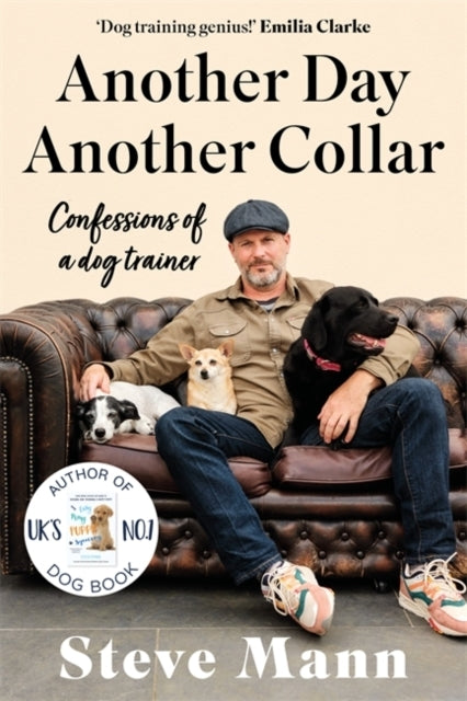 Another Day Another Collarconfessions of A Dog Trainer