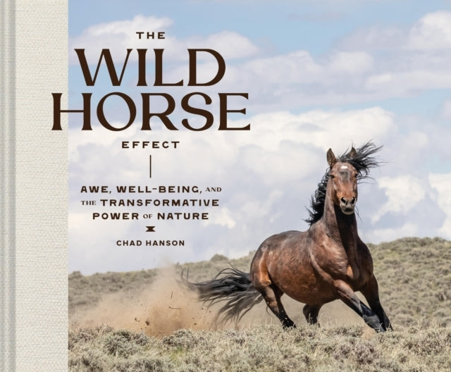 The Wild Horse Effectawe Well-Being And The Transformative