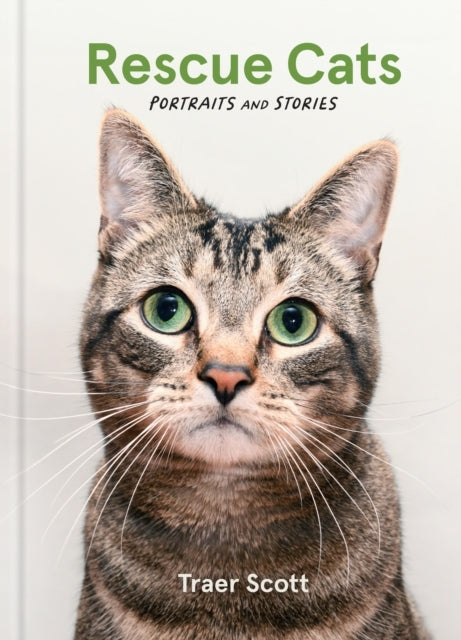 Rescue Catsportraits and Stories
