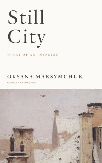 STILL CITYA DIARY OF AN INVASION