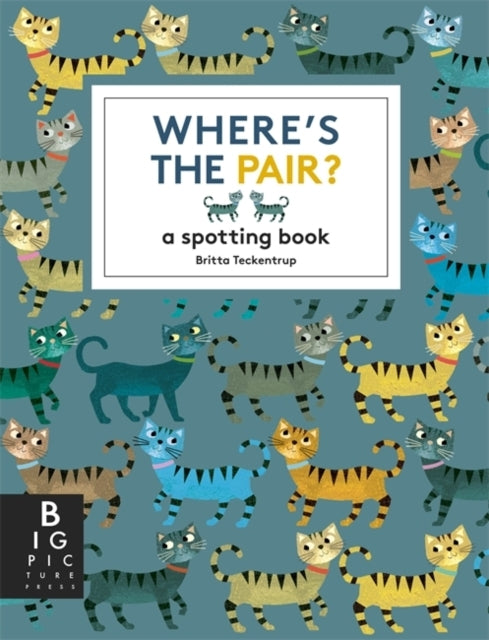 WHERE'S THE PAIR?A SPOTTING BOOK