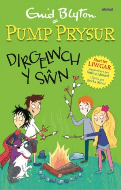 PUMP PRYSUR DIRGELWCH Y SWN