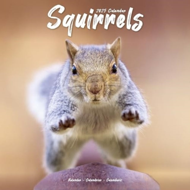 Squirrels Calendar 2025 Square Animal Wall Calendar - 16 Mon