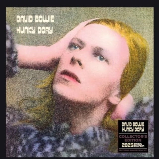 Official David Bowie Collector's Edition Record Sleeve Calen