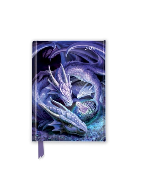 Anne Stokes Welcome Hatchling 2025 Luxury Pocket Diary Plan