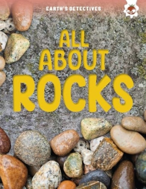 Earth'S Detectives All About Rocks