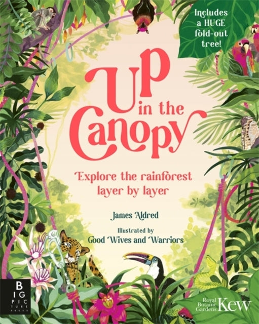 Up In The Canopyexplore The Rainforest Layer By Layer