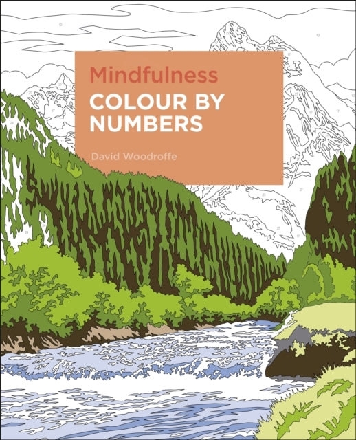 MINDFULNESS COLOUR BY NUMBERS.