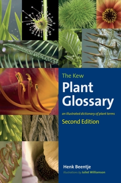 The Kew Plant Glossary