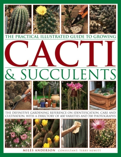 Practical Illustrated Guide To Growing Cacti & Succulents