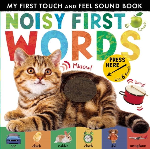 Noisy First Wordsmy First Touch And Feel Sound Book