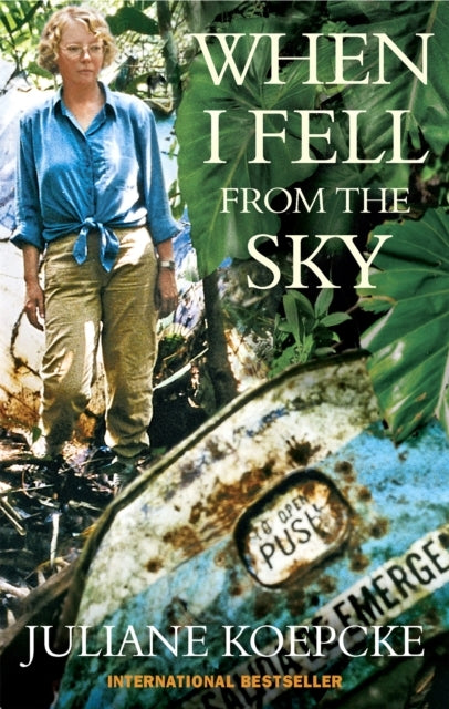 When I Fell From the Sky
