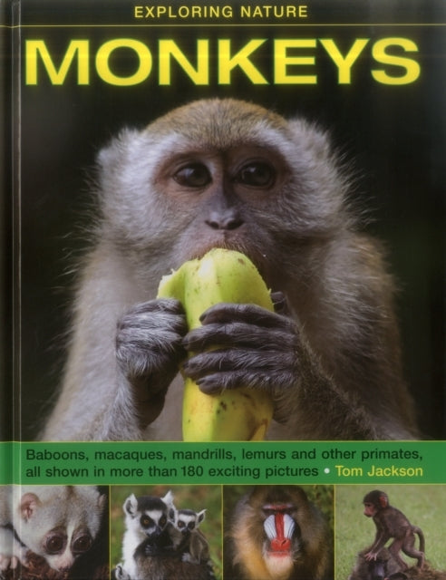 Exploring Nature Monkeys