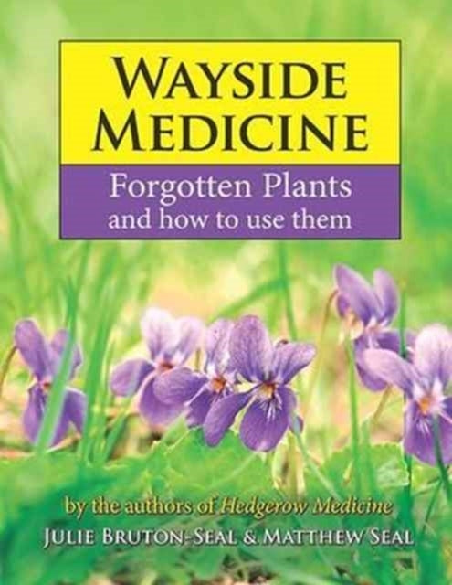 Wayside Medicineforgotten Plants and How To Use Them