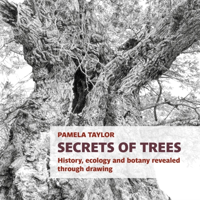 Secrets Of Treeshistory Ecology And Botany Revealed Through