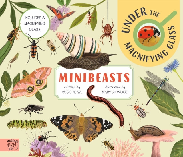 Minibeasts Under The Magnifying Glass