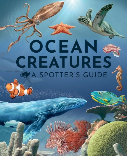 Ocean Creatures A Spotter's Guide
