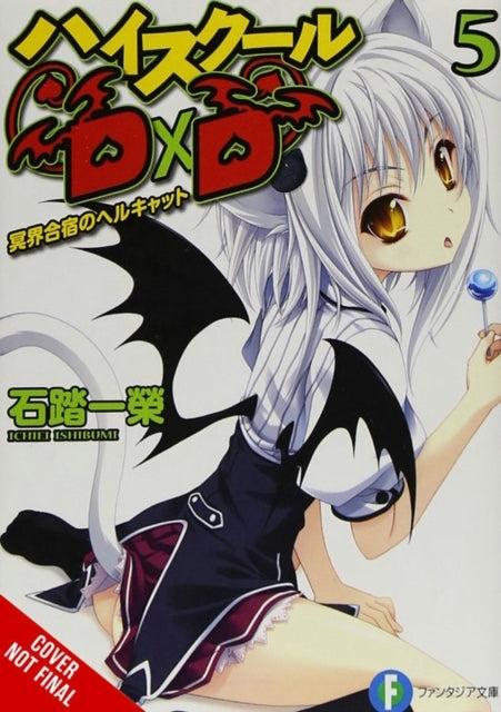 High School DxD, Vol. 5 (light Novel)