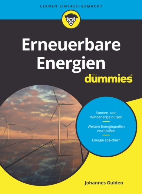 Erneuerbare Energien Fur Dummies