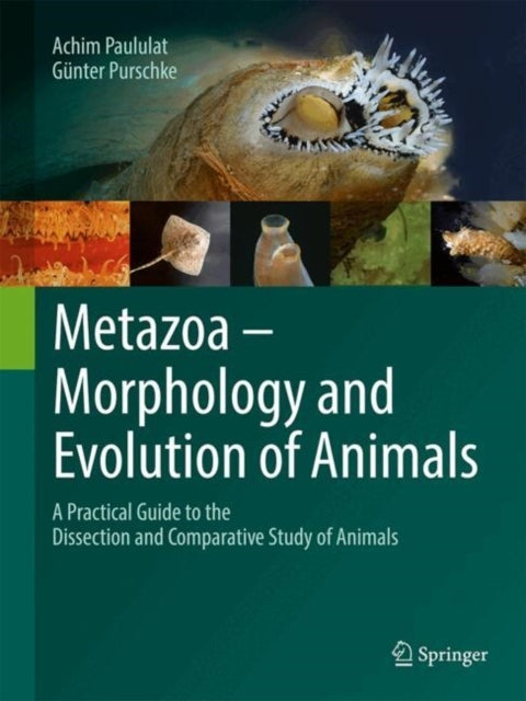 Metazoa  Morphology and Evolution of Animalsa Practical Gui