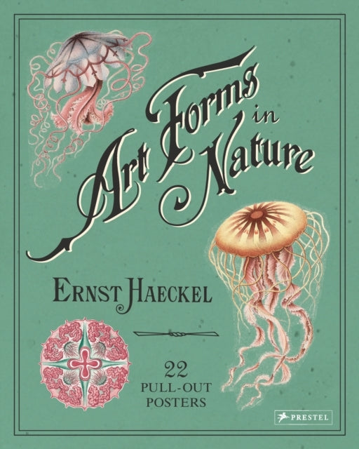 Ernst Haeckel Art Forms in Nature 22 Pull-out Posters